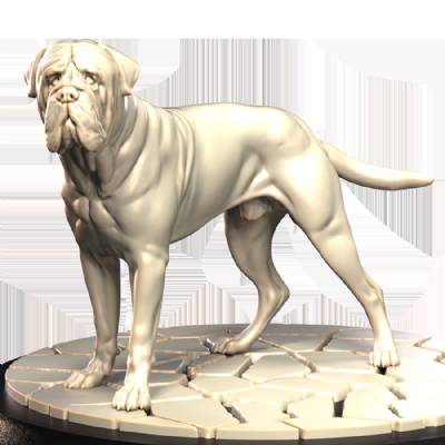 Bull Mastiff (2)